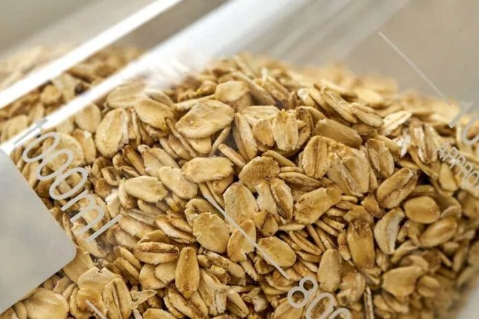 Mes de la Avena ¿por qué este cereal sigue ganando terreno en la agricultura chilena Mes de la Avena ¿por qué este cereal sigue ganando terreno en la agricultura chilena