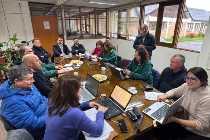 Mesa Bi-Regional de la Papa avanza en cuatro frentes clave para el futuro del cultivo Mesa Bi-Regional de la Papa avanza en cuatro frentes clave para el futuro del cultivo