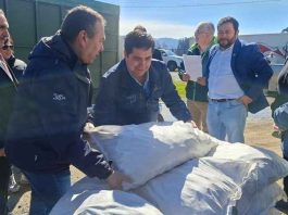 Minagri entrega 11 toneladas de alimento animal a 31 agricultores de Purén afectados por el sistema frontal Minagri entrega 11 toneladas de alimento animal a 31 agricultores de Purén afectados por el sistema frontal