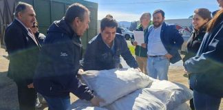 Minagri entrega 11 toneladas de alimento animal a 31 agricultores de Purén afectados por el sistema frontal