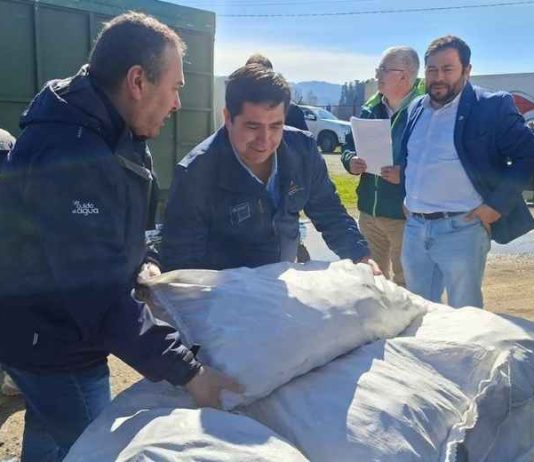 Minagri entrega 11 toneladas de alimento animal a 31 agricultores de Purén afectados por el sistema frontal Minagri entrega 11 toneladas de alimento animal a 31 agricultores de Purén afectados por el sistema frontal