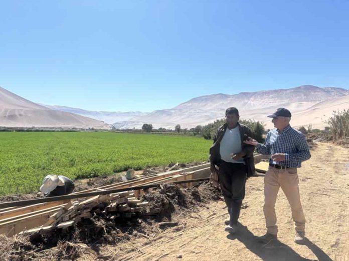 Nuevo Coordinador Zonal de la CNR supervisa obras de riego en los valles de Lluta y Azapa Nuevo Coordinador Zonal de la CNR supervisa obras de riego en los valles de Lluta y Azapa