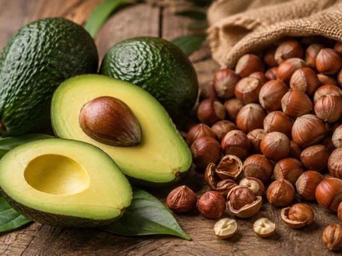 Paltas y avellanas se toman el liderazgo de la fruticultura chilena y ya proyectan otro año récord Paltas y avellanas se toman el liderazgo de la fruticultura chilena y ya proyectan otro año récord