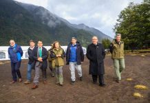 Parque Nacional Vicente Pérez Rosales conmemora 100 años como símbolo de la conservación en Chile Parque Nacional Vicente Pérez Rosales conmemora 100 años como símbolo de la conservación en Chile