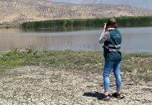 Por 30 años más renuevan la prohibición de caza y captura de fauna silvestre en la cuenca de la laguna Batuco Por 30 años más renuevan la prohibición de caza y captura de fauna silvestre en la cuenca de la laguna Batuco