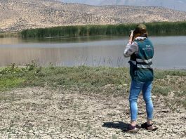 Por 30 años más renuevan la prohibición de caza y captura de fauna silvestre en la cuenca de la laguna Batuco