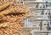Precio del Trigo alcanza máximo de dos años en mercados globales: Los factores detrás del alza y el impacto para la industria molinera y agrícola en Chile
