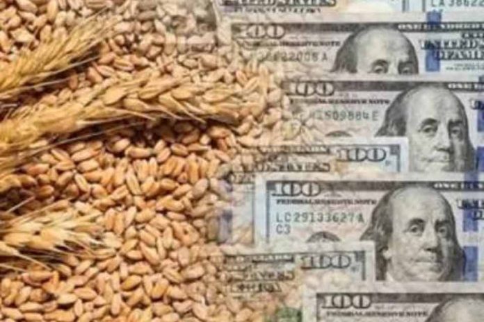 Precio del Trigo alcanza máximo de dos años en mercados globales: Los factores detrás del alza y el impacto para la industria molinera y agrícola en Chile Precio del Trigo alcanza máximo de dos años en mercados globales: Los factores detrás del alza y el impacto para la industria molinera y agrícola en Chile