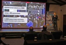 Presidente de Fedefruta reitera necesidad de invertir en infraestructura hídrica como desafío de la industria frutícola Presidente de Fedefruta reitera necesidad de invertir en infraestructura hídrica como desafío de la industria frutícola