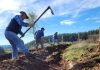 Programa de Recuperación de Suelos del SAG beneficiará 273 hectáreas en Ñuble Programa de Recuperación de Suelos del SAG beneficiará 273 hectáreas en Ñuble