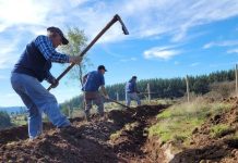 Programa de Recuperación de Suelos del SAG beneficiará 273 hectáreas en Ñuble Programa de Recuperación de Suelos del SAG beneficiará 273 hectáreas en Ñuble