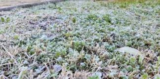 Pronostican temperaturas de hasta -1 °C y posibilidad de aguanieve en Santiago: el agro de la Región Metropolitana se prepara para un fin de semana frío Pronostican temperaturas de hasta -1 °C y posibilidad de aguanieve en Santiago: el agro de la Región Metropolitana se prepara para un fin de semana frío
