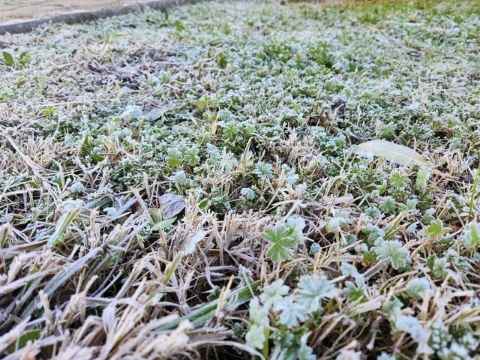 Pronostican temperaturas de hasta -1 °C y posibilidad de aguanieve en Santiago el agro de la Región Metropolitana se prepara para un fin de semana frío (1) Pronostican temperaturas de hasta -1 °C y posibilidad de aguanieve en Santiago: el agro de la Región Metropolitana se prepara para un fin de semana frío