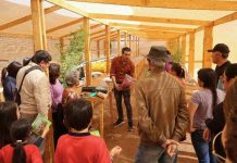 Reportaje | Innovador programa académico combate la desertificación y recupera suelos en la Región de Coquimbo
