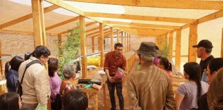 Reportaje | Innovador programa académico combate la desertificación y recupera suelos en la Región de Coquimbo