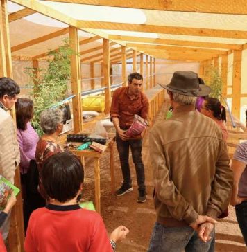 Reportaje | Innovador programa académico combate la desertificación y recupera suelos en la Región de Coquimbo Reportaje | Innovador programa académico combate la desertificación y recupera suelos en la Región de Coquimbo