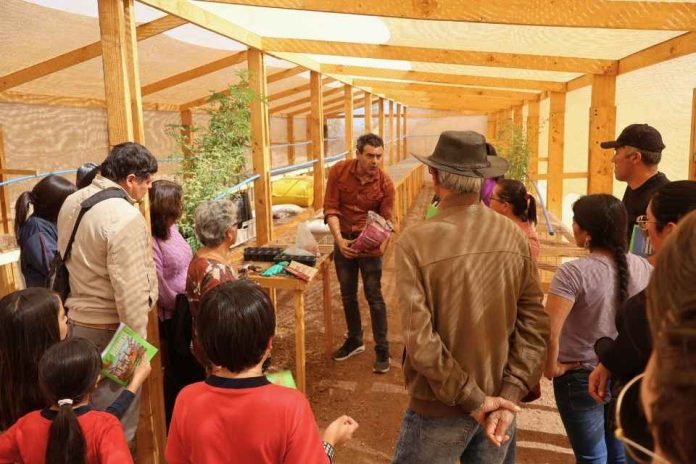 Región de Coquimbo re-forestación con recuperación de suelos Reportaje | Innovador programa académico combate la desertificación y recupera suelos en la Región de Coquimbo