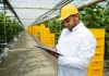 Reportaje | Empresas agroindustriales de Ñuble podrán acceder a hasta $30 millones para reconvertirse y abrir nuevos mercados