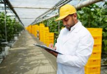 Reportaje | Empresas agroindustriales de Ñuble podrán acceder a hasta $30 millones para reconvertirse y abrir nuevos mercados