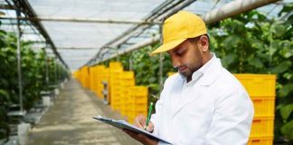 Reportaje | Empresas agroindustriales de Ñuble podrán acceder a hasta $30 millones para reconvertirse y abrir nuevos mercados Reportaje | Empresas agroindustriales de Ñuble podrán acceder a hasta $30 millones para reconvertirse y abrir nuevos mercados