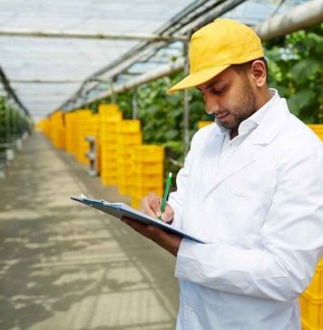 Reportaje | Empresas agroindustriales de Ñuble podrán acceder a hasta $30 millones para reconvertirse y abrir nuevos mercados Reportaje | Empresas agroindustriales de Ñuble podrán acceder a hasta $30 millones para reconvertirse y abrir nuevos mercados