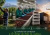 Reportaje | La calidad se construye a lo largo de toda la cadena: fitopatología y postcosecha se unen en torno a la calidad hortofrutícola Reportaje | La calidad se construye a lo largo de toda la cadena: fitopatología y postcosecha se unen en torno a la calidad hortofrutícola