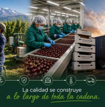Reportaje | La calidad se construye a lo largo de toda la cadena: fitopatología y postcosecha se unen en torno a la calidad hortofrutícola