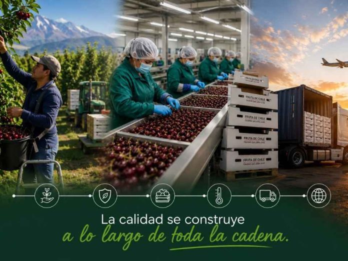 Reportaje | La calidad se construye a lo largo de toda la cadena: fitopatología y postcosecha se unen en torno a la calidad hortofrutícola
