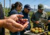Representantes de Frutas de Chile abordarán los desafíos de las industrias de la cereza y el kiwi en encuentro técnico en Curicó Representantes de Frutas de Chile abordarán los desafíos de las industrias de la cereza y el kiwi en encuentro técnico en Curicó