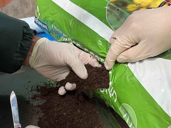 SAG aumenta inspecciones de productos silvoagropecuarios en puertos de Biobío SAG aumenta inspecciones de productos silvoagropecuarios en puertos de Biobío