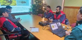 SAG capacita a funcionarios municipales de Porvenir sobre prevención y manejo del pulgón del ciprés. SAG capacita a funcionarios municipales de Porvenir sobre prevención y manejo del pulgón del ciprés.