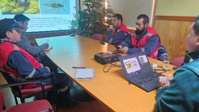 SAG capacita a funcionarios municipales de Porvenir sobre prevención y manejo del pulgón del ciprés. SAG capacita a funcionarios municipales de Porvenir sobre prevención y manejo del pulgón del ciprés.