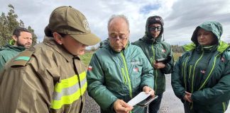 SAG y Carabineros de Chile intensifican fiscalización al transporte de animales en carreteras