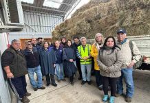 SAVAL F.G. entrega 500 fardos de forraje a pequeños agricultores afectados por lluvias e inundaciones SAVAL F.G. entrega 500 fardos de forraje a pequeños agricultores afectados por lluvias e inundaciones
