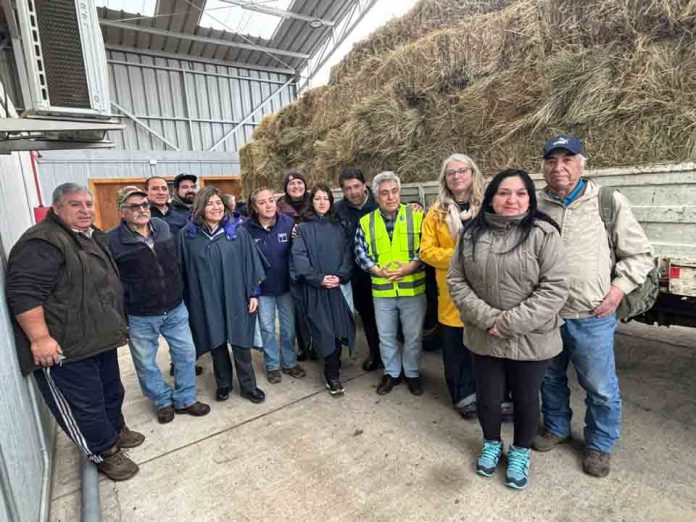 SAVAL F.G. entrega 500 fardos de forraje a pequeños agricultores afectados por lluvias e inundaciones SAVAL F.G. entrega 500 fardos de forraje a pequeños agricultores afectados por lluvias e inundaciones