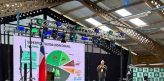 Segunda Cumbre Araucanía Frutícola: Proyecciones de mercado, recambio varietal y claves operacionales para el desarrollo del sur de Chile