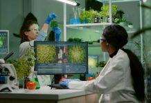 Reportaje | Semillas en la nube: los bancos genéticos digitales que protegen la biodiversidad vegetal Semillas en la nube