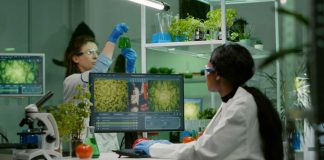 Reportaje | Semillas en la nube: los bancos genéticos digitales que protegen la biodiversidad vegetal Semillas en la nube