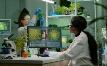 Reportaje | Semillas en la nube: los bancos genéticos digitales que protegen la biodiversidad vegetal Semillas en la nube