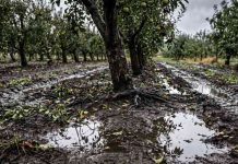 Sistemas frontales: Suelos saturados y el riesgo de compactación Sistemas frontales: Suelos saturados y el riesgo de compactación