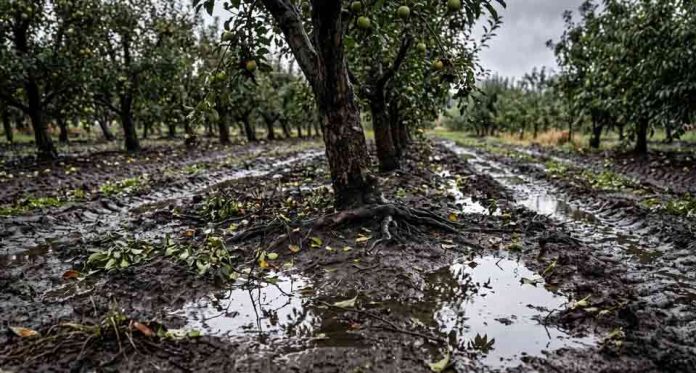 Sistemas frontales: Suelos saturados y el riesgo de compactación