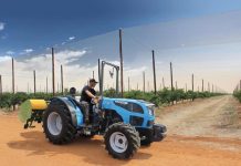 Tecnología que impulsa el crecimiento del avellano chileno con una producción más eficiente