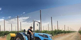 Tecnología que impulsa el crecimiento del avellano chileno con una producción más eficiente Tecnología que impulsa el crecimiento del avellano chileno con una producción más eficiente