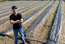 Terra Austral se integra al Grupo Terragénesis para liderar la transición de la agricultura regenerativa en Chile y Latinoamérica Terra Austral se integra al Grupo Terragénesis para liderar la transición de la agricultura regenerativa en Chile y Latinoamérica