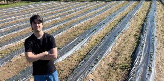 Terra Austral se integra al Grupo Terragénesis para liderar la transición de la agricultura regenerativa en Chile y Latinoamérica