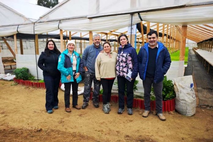 Transforma Gestión Hídrica se despliega en Casablanca y San Antonio para constatar daños en predios e infraestructura agrícola Transforma Gestión Hídrica se despliega en Casablanca y San Antonio para constatar daños en predios e infraestructura agrícola