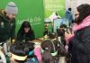 UACh será parte del Segundo Festival de las Abejas y la Miel UACh será parte del Segundo Festival de las Abejas y la Miel