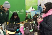 UACh será parte del Segundo Festival de las Abejas y la Miel UACh será parte del Segundo Festival de las Abejas y la Miel