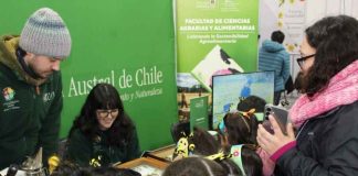 UACh será parte del Segundo Festival de las Abejas y la Miel UACh será parte del Segundo Festival de las Abejas y la Miel