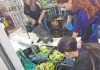 USS junto a FOSIS fortalecen la seguridad alimentaria de familias de Hualpén USS junto a FOSIS fortalecen la seguridad alimentaria de familias de Hualpén